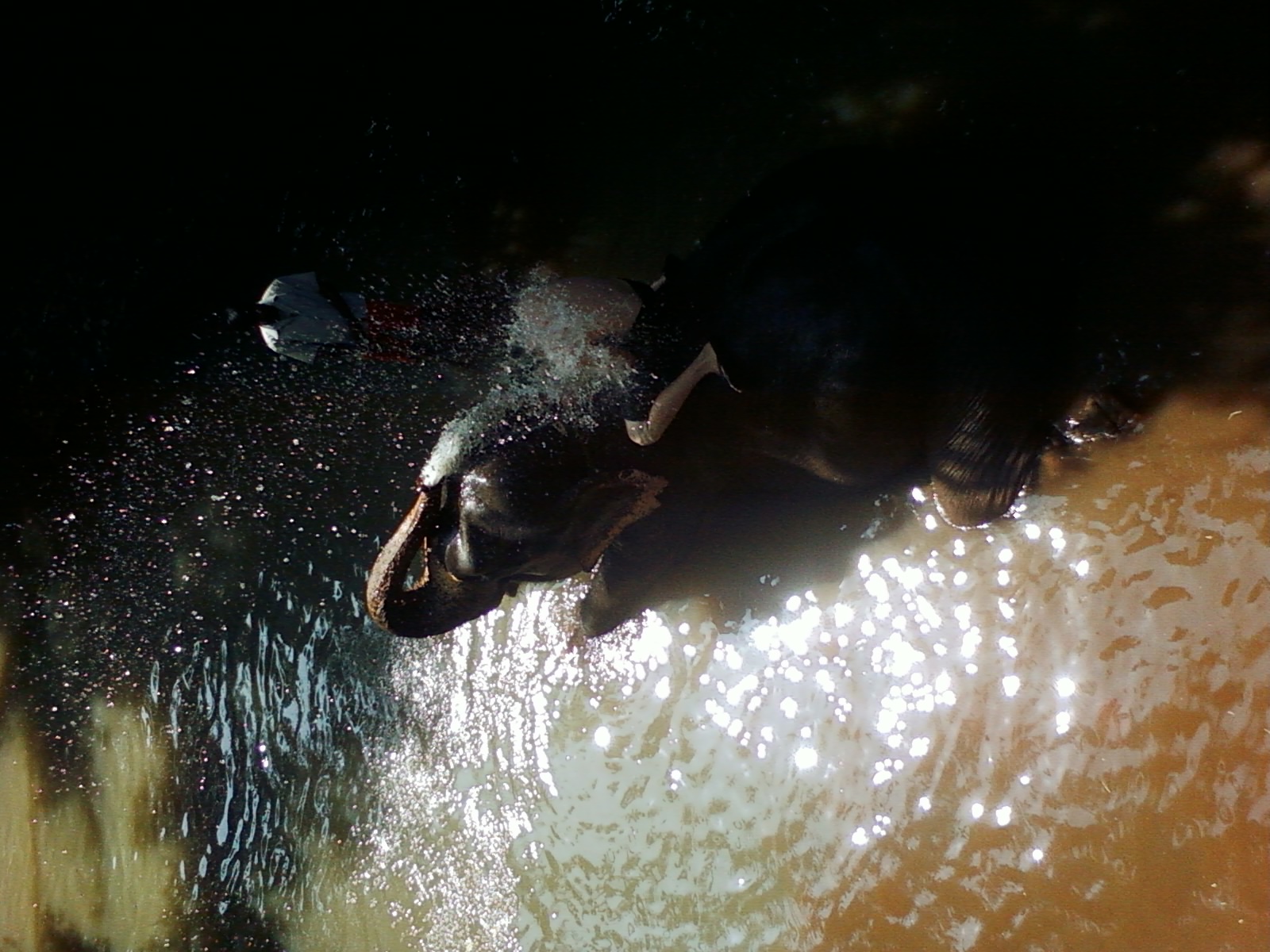 Goan style of bathing 1