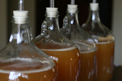 Homemade Hard Apple Cider stored in simple Glass jars Homemade Hard Apple Cider stored in simple Glass jars