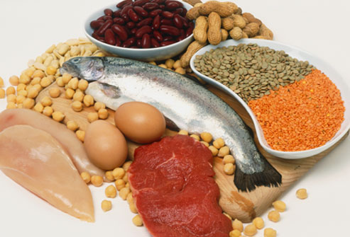 High protein foods