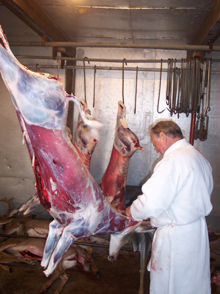 Butchering a deer in easy steps