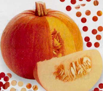Tips on how to eat calabaza everyday
