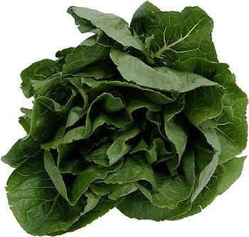 Using fresh spinach in various recipes