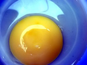 Freezing eggs and yolk in easy and simplified ways to be used later