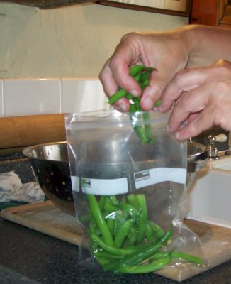 Freezing green beans inside zip lock bags is a great way to keep them fresh