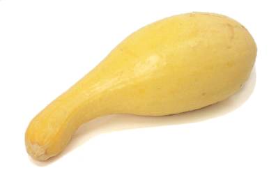 Tips on how to freeze squash -enjoy fresh squash all through the year