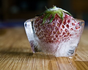 Freezing strawberries in the refrigerator to keep them fresh for long.