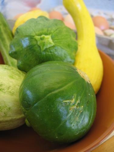 Tips on how to freeze summer squash and use it later.