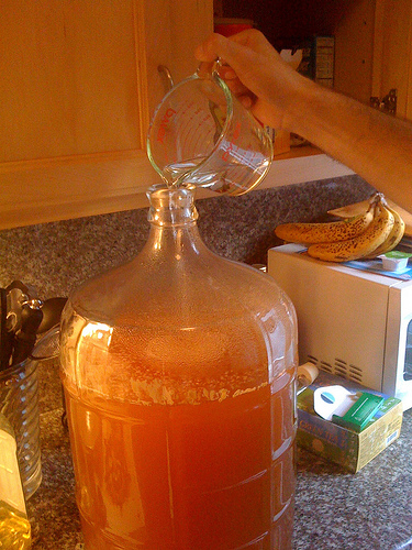 Home Brew Fermentation