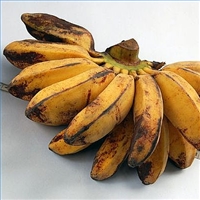 Tips on how to ripen bananas in the way you want them