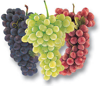 Tips on how to store grapes for a week