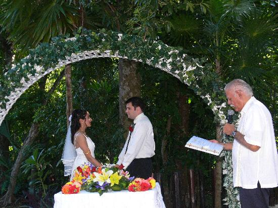 Jungle theme wedding creates the atmosphere of a jungle Jungle theme