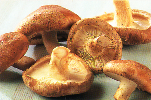 Shiitake mushrooms
