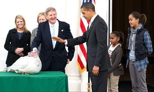 Obama Thanksgiving