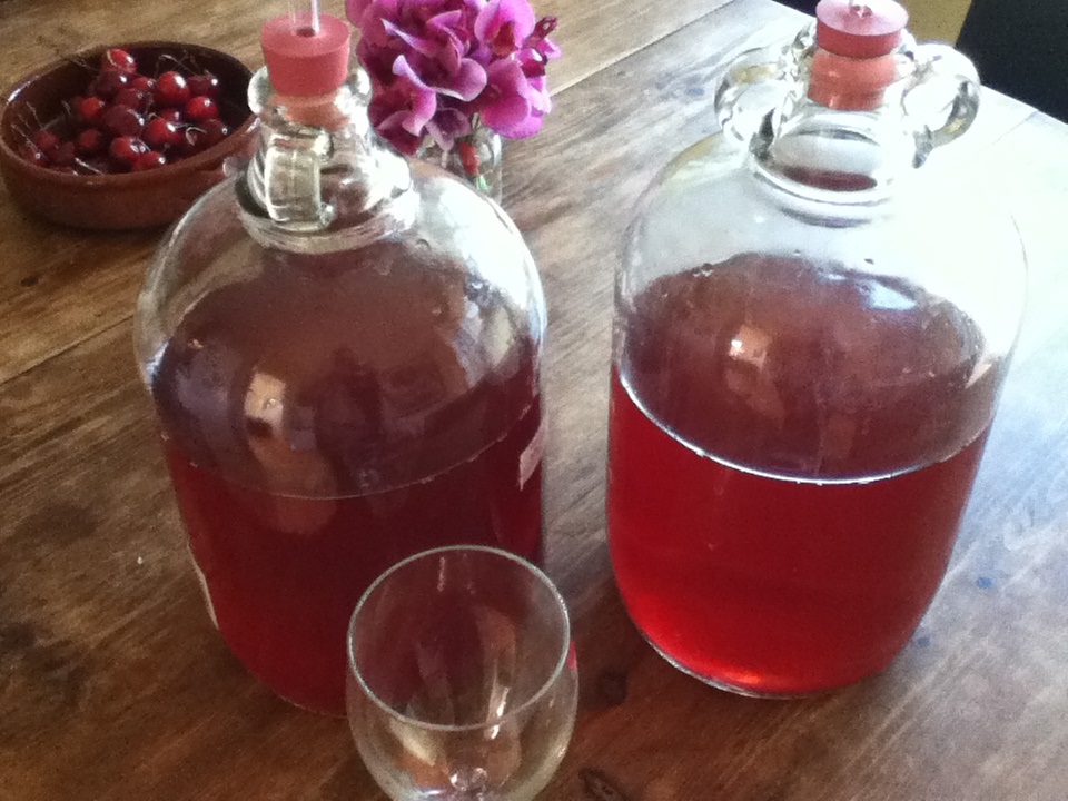 Rhubarb Wine