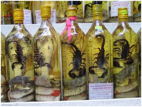 snake wine 