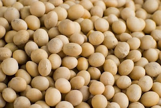 Soy helps in reducing intensity of hot flashes