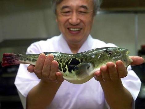 Fugu, a poisonous fish, is one of the most strange foods from Japan Fugu, a poisonous fish, is one of the most strange foods from Japan
