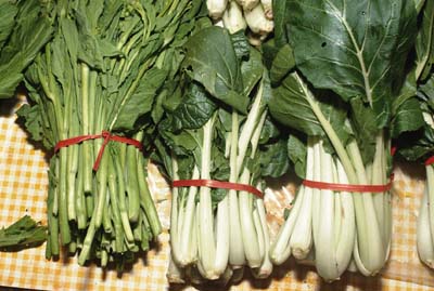 Dark Green Vegetables