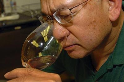 Tips on how to fake being a wine expert Tips on how to fake being a wine expert