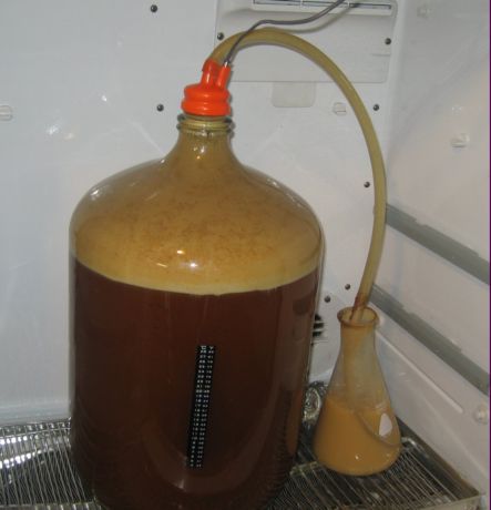 To prevent the Kraussen from over flowing attach a blow off tube and run it into a container