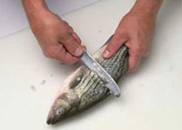 The method for scaling the fish 