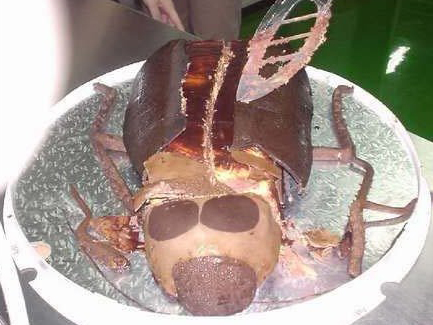 Cockroach Cake
