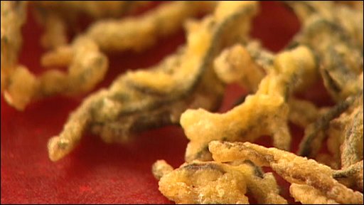 Deep fried earthworms