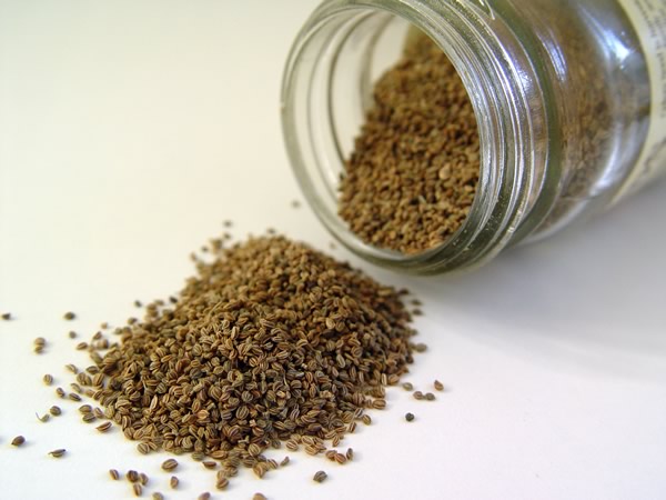 Dried Calendula Seeds in a Jar