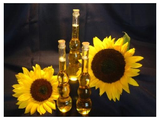  ... effects of sunflower oil, provided you consume this oil in excessive