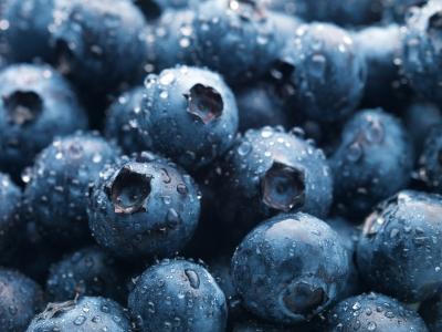 Blueberry Benefits For Men 