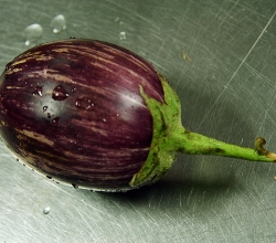 eggplant