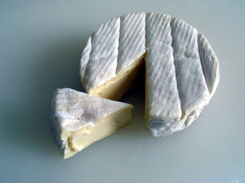 Cheese 