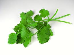 Cilantro leaf benefits
