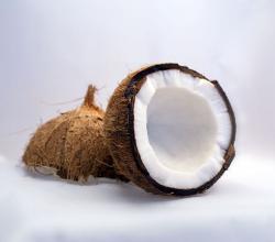 Coconut in half