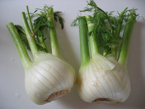 Herbs for pneumonia