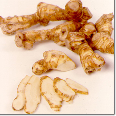 Galangal