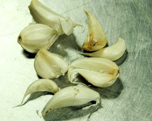 Garlic