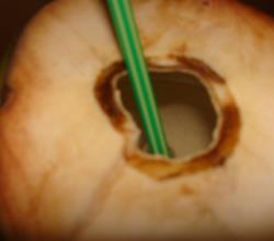coconut water