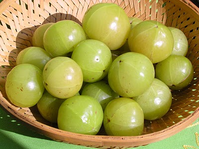 Gooseberry for anti aging Gooseberry