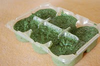 Herb