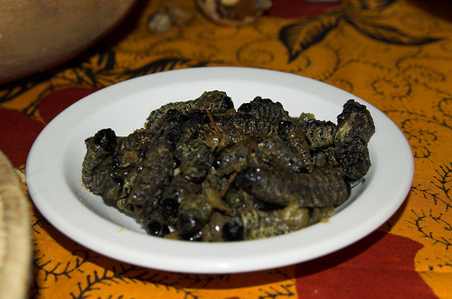 Mopane