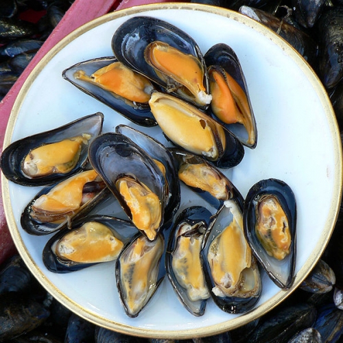 Mussels - A Sustainable Seafood