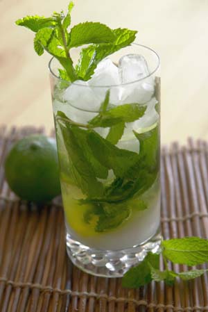 Virgin Mojito
