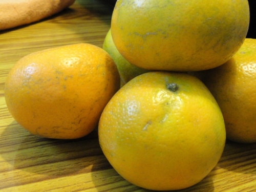 fruits