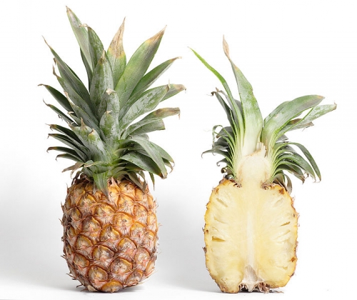 Pineapple_and_Cross_Section