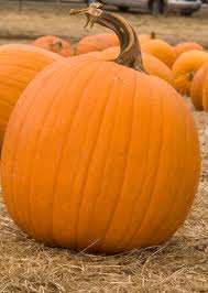 How to cook whole pumpkin