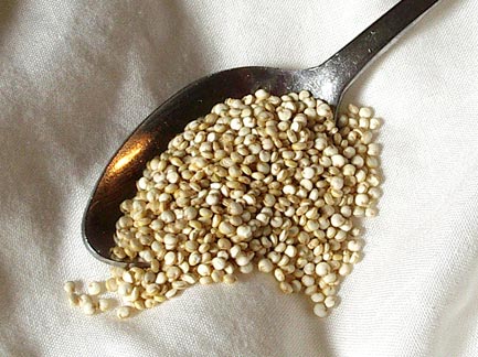 Quinoa Calories