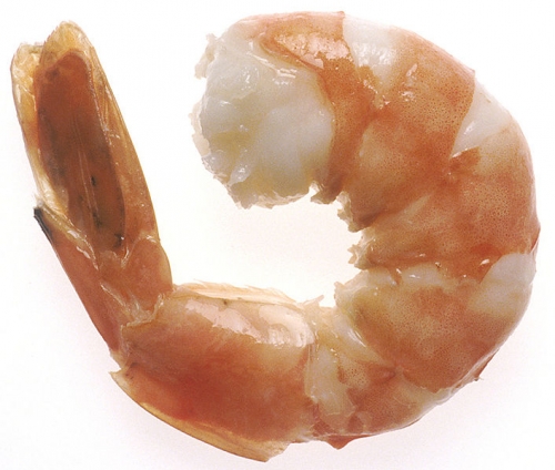 Shrimp - A Sustainable Seafood