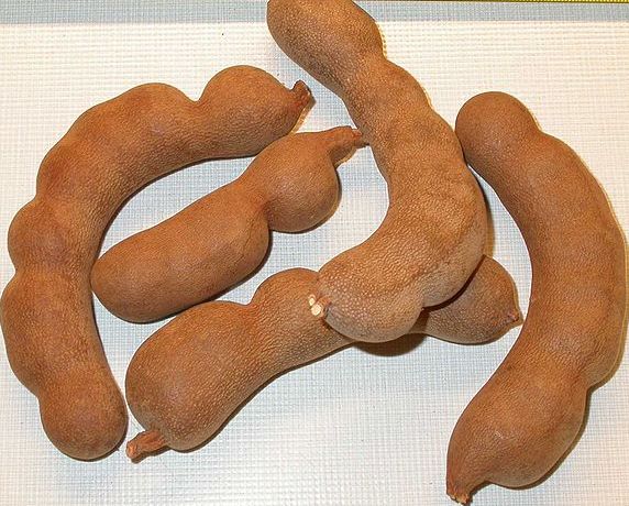 Tamarind Juice Concentrate Health Benefits 