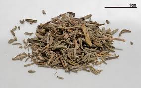 Thyme leaf benefits